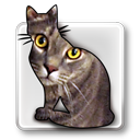ID Image Cat icon